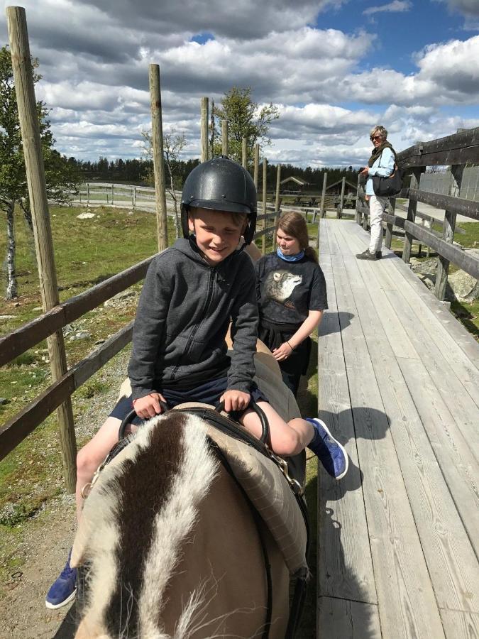 Luxury Cabin In The Mountains With All Facileties Sonstebo Eksteriør billede